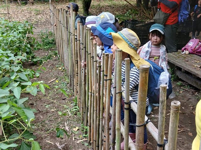 大きくなれ
