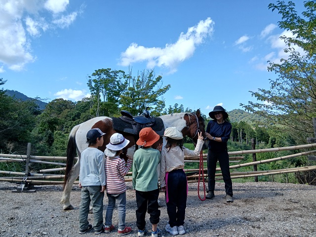 馬森牧場
