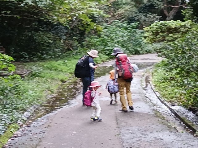 ほしのこさん
