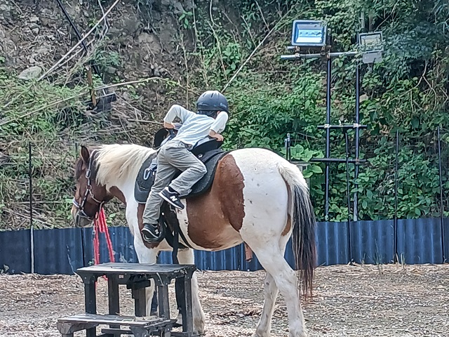 馬森牧場