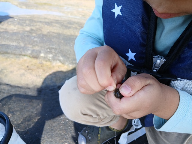 魚釣り