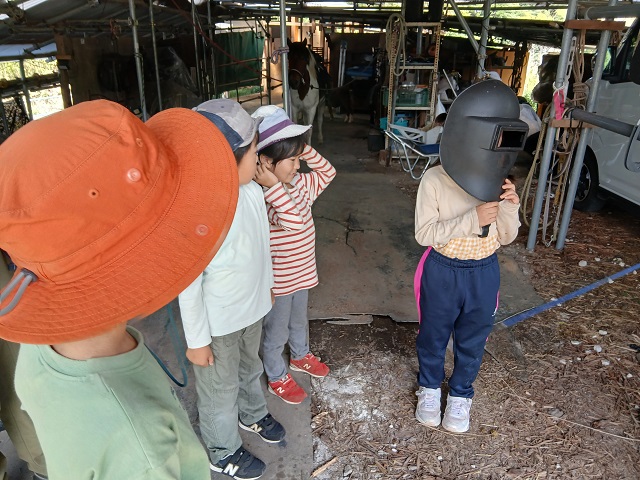 馬森牧場