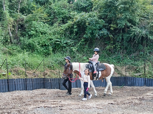 馬森牧場