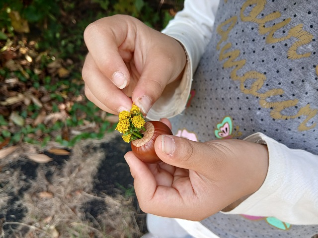 お花