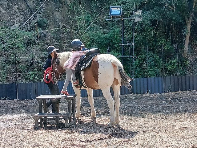 馬森牧場