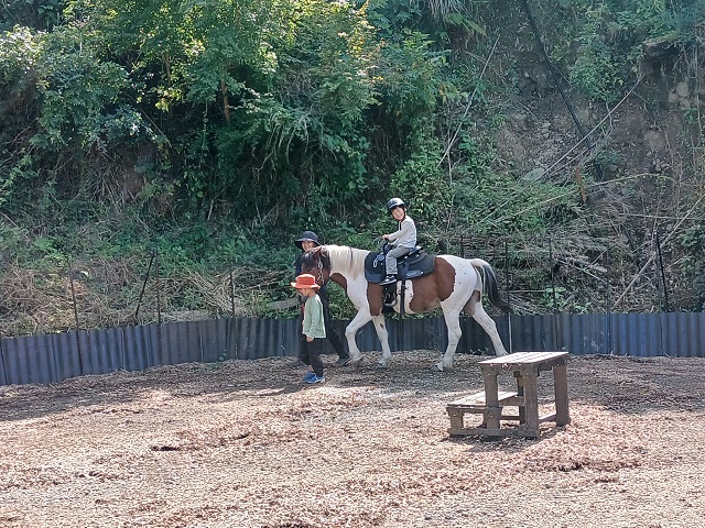 馬森牧場