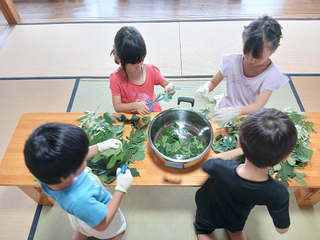 草木染め