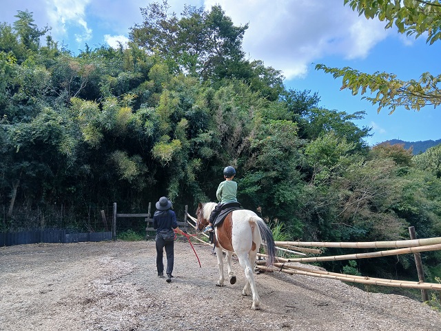 馬森牧場