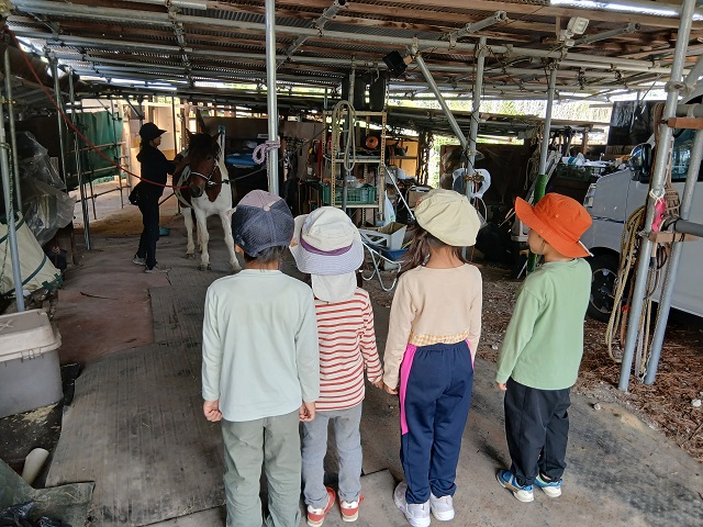 馬森牧場