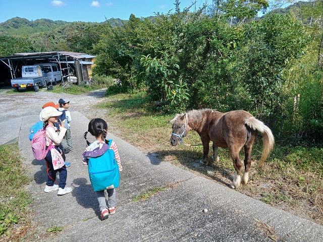 馬森牧場