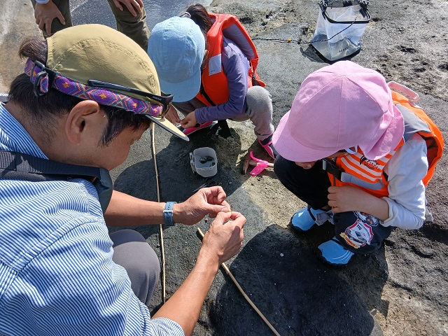 魚釣り